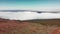 Aerial shot. Wonderful flight on a sunny clear day over volumetric texture thunderstorm clouds. Below forests of green