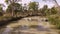 Aerial shots of dead wood trees Murray Darling Basin or river system. Flooding