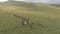 Aerial shots of a herd of horses running through a mountain valley.