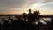 Aerial silhouette view coconut tree