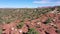 Aerial southwest red rock desert cliff cedar trees 4K