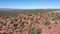 Aerial southwest Utah red rock desert cliff cedar trees 4K