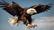 Aerial Sovereignty: The Majestic Flight of an Eagle in the Clear Sky