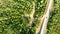 Aerial stable shot over a country road with few cars driving between forests on a sunny day.