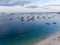 Aerial. Stone town, Zanzibar, Tanzania. Flock of Show Ships near the Zanzibar Coastline in Stone Town on Blue