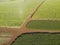 Aerial sugarcane field in Brazil.