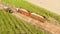 Aerial sugarcane field in Brazil. Tractor working, agribusiness