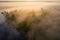 Aerial summer nature landscape in foggy morning. Misty riverside at sunrise. River nature in fog