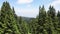 Aerial summer view of Vitosha Mountain, Bulgaria