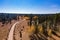 Aerial sunny fall color of the Uinta Flat Designated Dispersed Camping Area