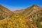 Aerial sunny view of beautiful fall color around Brian Head area