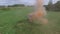 Aerial survey of couple walk on the field with colored smoke in hands. Flying over man and woman run through the field