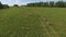 AERIAL: Three kids cycling on bicycles through green field.