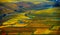 Aerial tilt-shift view of geometrical fields of grape