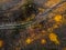 Aerial top down: Beautiful autumn trees in yellow, orange and re