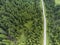Aerial top down drone view, dirt road leading trough the green pine forest