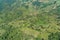 Aerial top down mountain Texture of nature forest scenery view Rainforest in sunny day