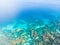 Aerial top down people snorkeling on coral reef tropical caribbean sea, turquoise blue water. Indonesia Wakatobi archipelago,