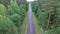 Aerial top down view of car driving on country road in forest in the evening at twilight. Cinematic drone shot flying over asphalt