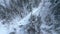 Aerial top down view of group of hikers following one by one the snow covered path. Clip. Winter forest and falling snow