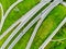 Aerial top down view of a highway road intersection. Cars passing, highway junction, cross roads