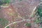 Aerial top down view of two narrow roads in late autumn mixed forest in upland of northern Slovakia under High Tatra mountains.