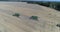 Aerial top shot of three green combines harvesting on the field