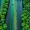 Aerial top view of asphalt road through green healthy rain green view of nature ecosystem for save Earth with