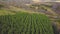 Aerial top view, Autumn landscape of wild forest. Clip. High angle view of a road trough the autumn forest