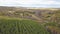 Aerial top view, Autumn landscape of wild forest. Clip. High angle view of a road trough the autumn forest