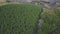 Aerial top view, Autumn landscape of wild forest. Clip. High angle view of a road trough the autumn forest