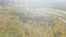 Aerial top view, Autumn landscape of wild forest. Clip. High angle view of a road trough the autumn forest