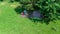 Aerial top view of campsite from above, tent and camping equipment under tree, family vacation in camp outdoors