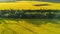 Aerial top view of canola field and country road from above