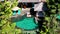 Aerial top view from drone, male tourist in black swimsuit lying on sun bed in contemporary villa surrounded by tropical