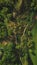 Aerial top view ecosystem of forest river and lake on meadow valley,