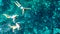 Aerial top view of family snorkeling from above, mother and kids snorkelers swimming in a clear tropical sea water with corals