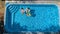 Aerial top view of family in swimming pool from above, mother and kids swim on inflatable ring donuts and have fun in water