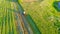 Aerial top view farm scene agricultural tractor mows grass with a mower in the farm fields, haymaking