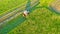 Aerial top view farm scene agricultural tractor mows grass with a mower in the farm fields, haymaking
