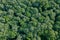Aerial top view forest, Forest view from above.