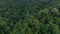 Aerial top view forest green tree, Rainforest ecosystem and healthy environment background, Texture of green tree forest, forest