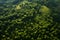 Aerial top view forest tree, Rainforest ecosystem and healthy environment concept and background