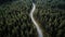 Aerial top view of green forest. The road in the forest. Pine trees and spruce trees. Drone photo. Aerial landscape