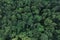 Aerial top view of green trees in forest. Drone view of dense green tree captures CO2. Green tree nature background for carbon