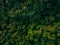 Aerial top view of green trees in forest. Drone view of dense green tree captures CO2. Green tree nature background for carbon