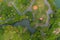 Aerial top view of green trees in Lumpini park garden and reflection. Green eco area in smart urban city at noon, Bangkok,