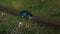 Aerial top view of grey car driving on wet rural road in green field.