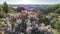 Aerial top view of Kiev city and botanical garden park from above, blossoming lilac and Kyiv cityscape, Ukraine