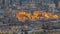 Aerial top view of Lima main square from San Cristobal hill day to night timelapse, government palace of Peru and